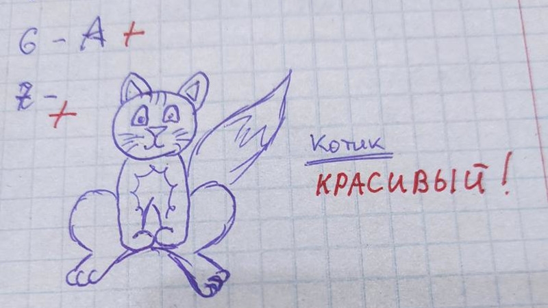 Попросить нарисовать. Попросили учеников нарисовать кота. Нарисовать кота по физике. Учительница попросила нарисовать котика. Учительница попросила нарисовать кота.